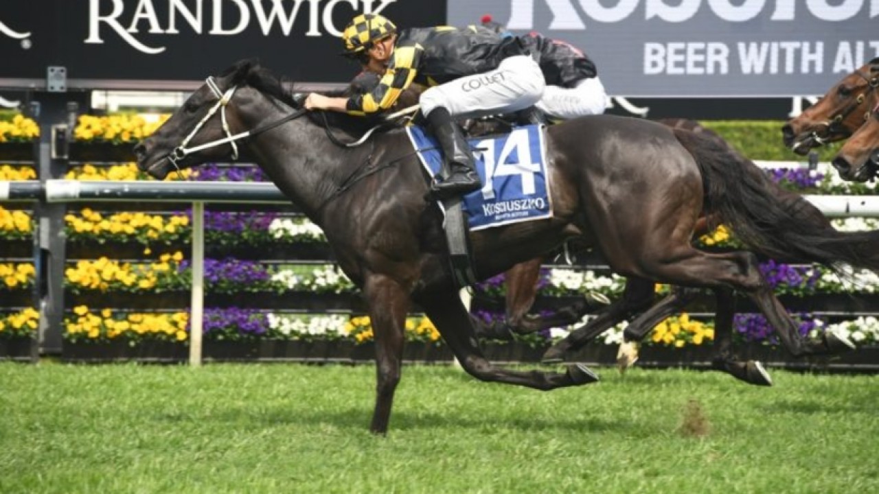 Preview: Gr.2 Premiere Stakes Image 1